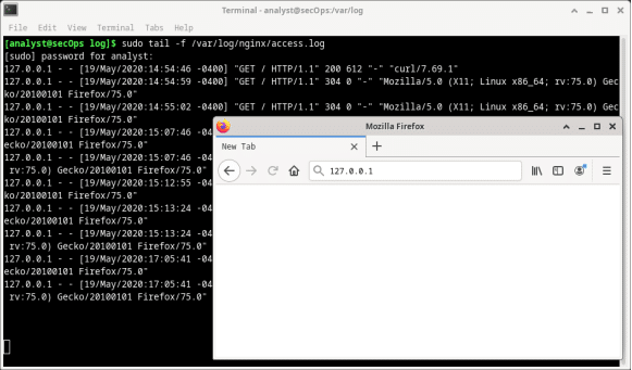 The screenshot shows tail running in the terminal window and also a browser window open on one side.