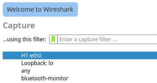 Screenshot of the Wireshark Capture heading with the H1-eth0 interface selected