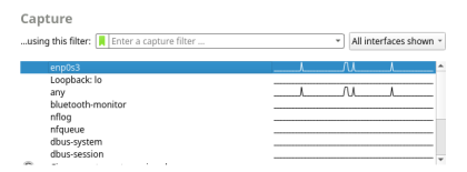 The screenshot displays the list of interfaces that are available. The interface enp0s3 is highlighted.