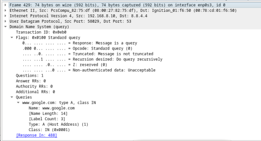 This screenshot displays the details of DNS queries