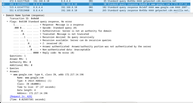 This screenshot displays the details of DNS response