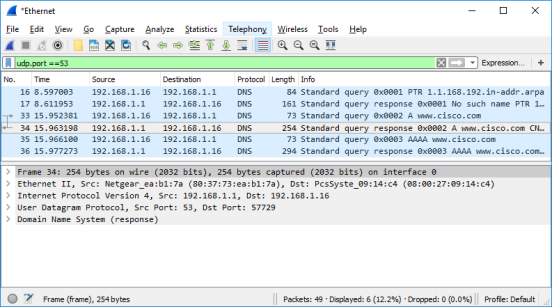 Wireshark screen shot with a DNS packet highlighted