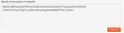 Screen shot of the Result of the encryption in base64.