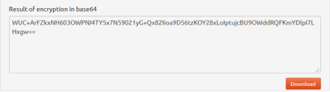 Screen shot of the Result of the encryption in base64.